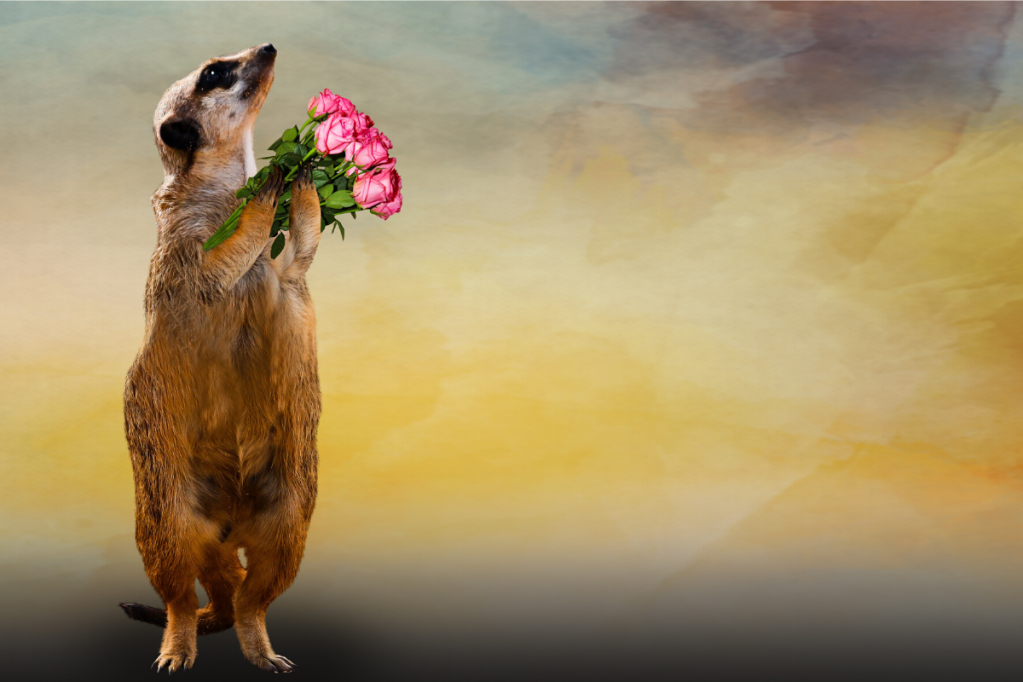 birthday meerkat with flowers celebration